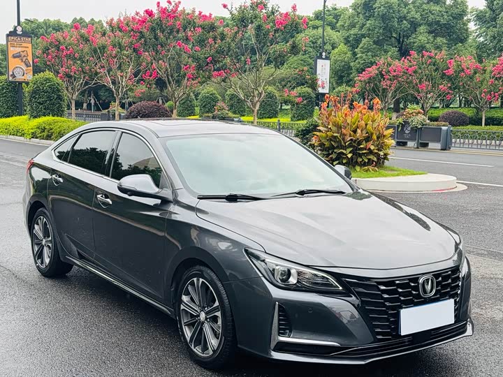 Changan Raeton CC 2021 2021款 蓝鲸版 1.5T DCT豪华型