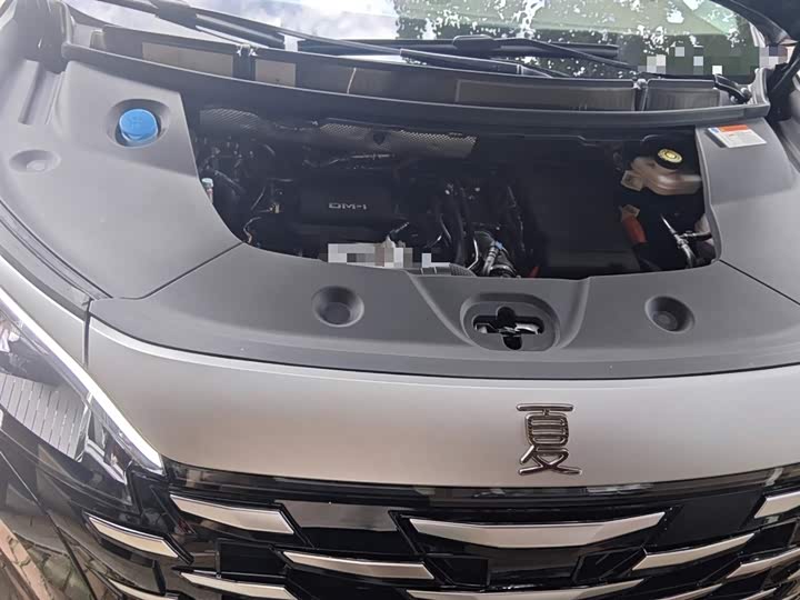 BYD Xia 2025 2025款 DM-i 1.5T 180km 卓越型