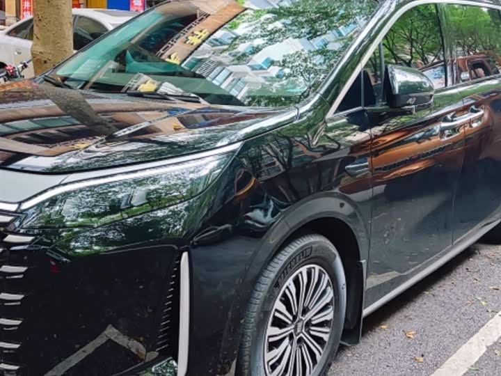 BYD Xia 2025 2025款 DM-i 1.5T 180km 卓越型