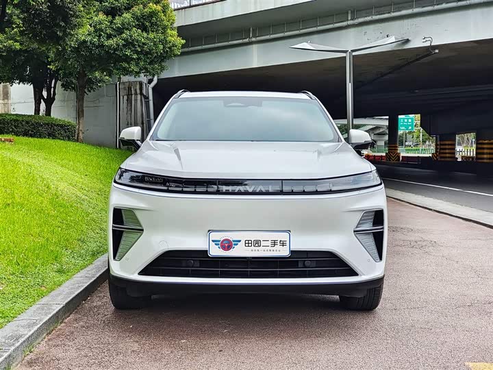 Haval Ruge Max 2025 2025款 Hi4 165 Plus 长续航版