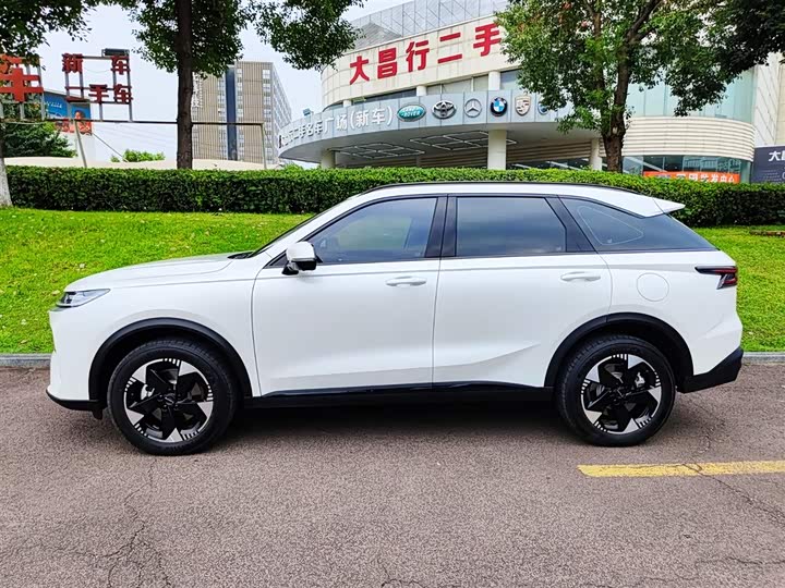 Haval Ruge Max 2025 2025款 Hi4 165 Plus 长续航版