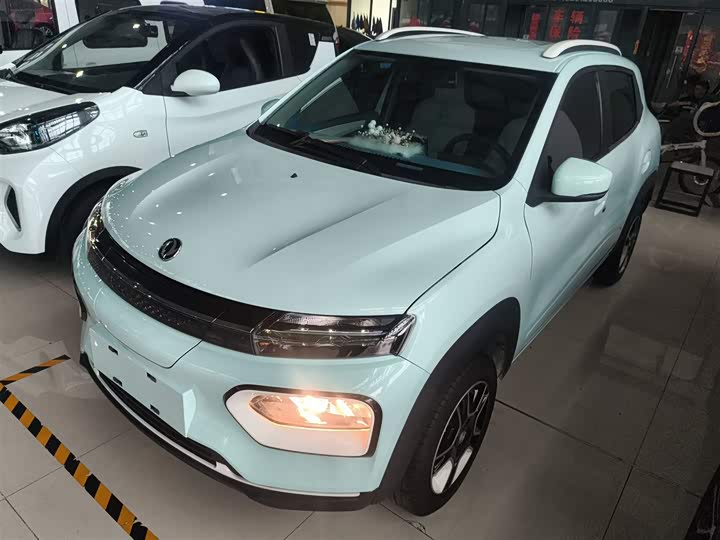 Dongfeng Nammi Nano EX1 Pro 2023 2023款 PRO 轻风版闪电型