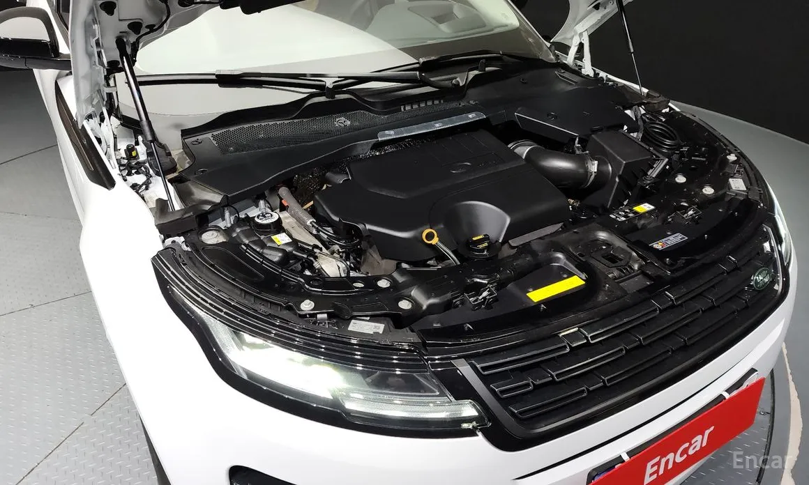 Land Rover Range Rover Evoque 2019 P250 Dynamic SE