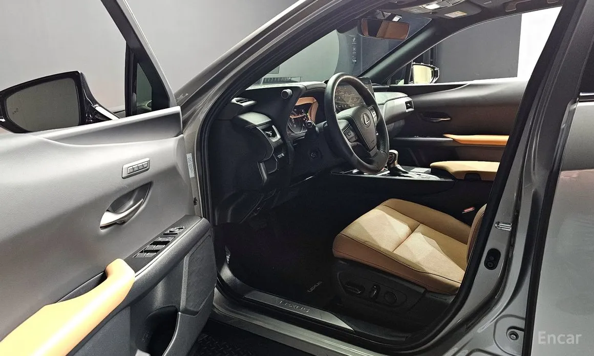 Lexus UX 2019 2.0 AWD