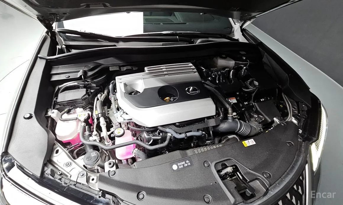 Lexus UX 2019 2.0 AWD