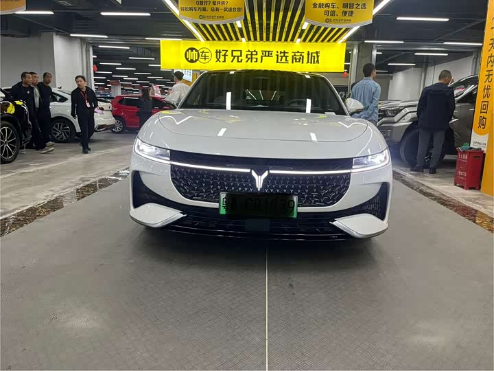 Voyah Passion 2024 2024款 PHEV 四驱超长续航旗舰版