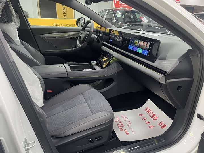 Voyah Passion 2024 2024款 PHEV 四驱超长续航旗舰版