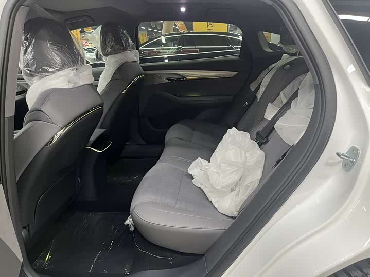 Voyah Passion 2024 2024款 PHEV 四驱超长续航旗舰版