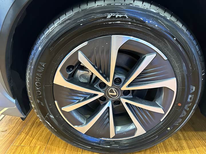 Lexus RZ 2023 2023款 450e 四驱纵享版