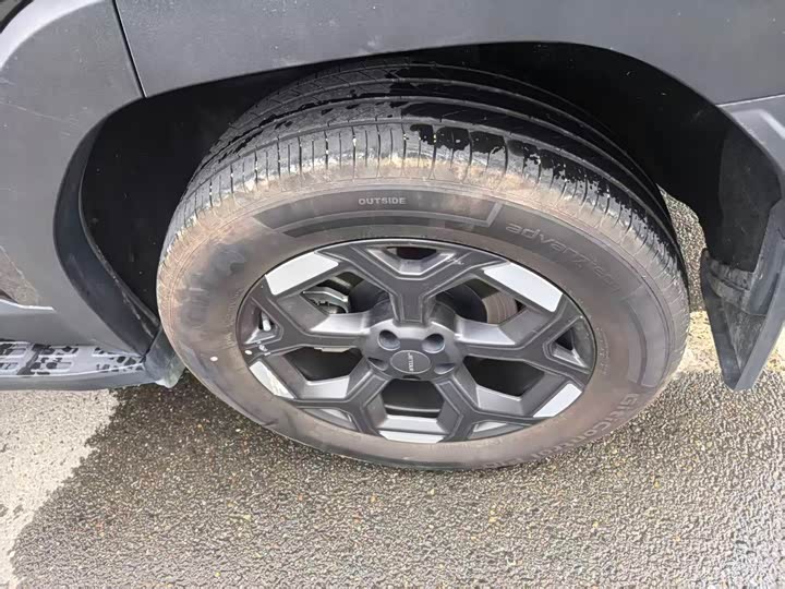 Jetour Freedom 2025 2025款 2.0TD XWD征服