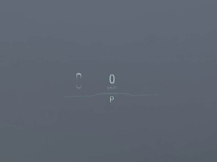 HiPhi X 2022 2022款 智远版6座 长续航版