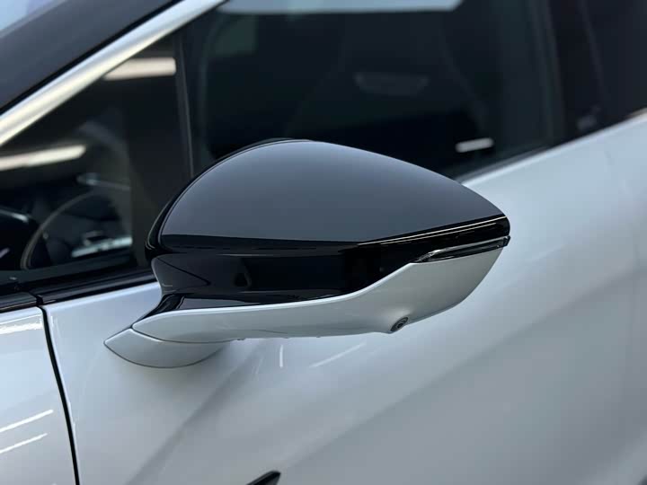 HiPhi X 2022 2022款 智远版6座 长续航版