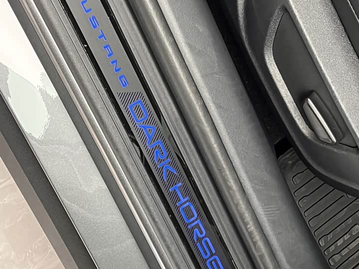 Ford Mustang 2024 2024款 5.0L V8 Dark Horse