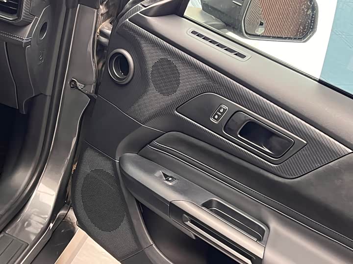 Ford Mustang 2024 2024款 5.0L V8 Dark Horse