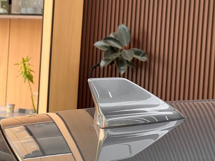 Ford Mustang 2024 2024款 5.0L V8 Dark Horse