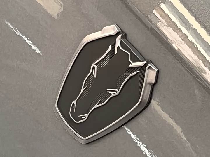 Ford Mustang 2024 2024款 5.0L V8 Dark Horse