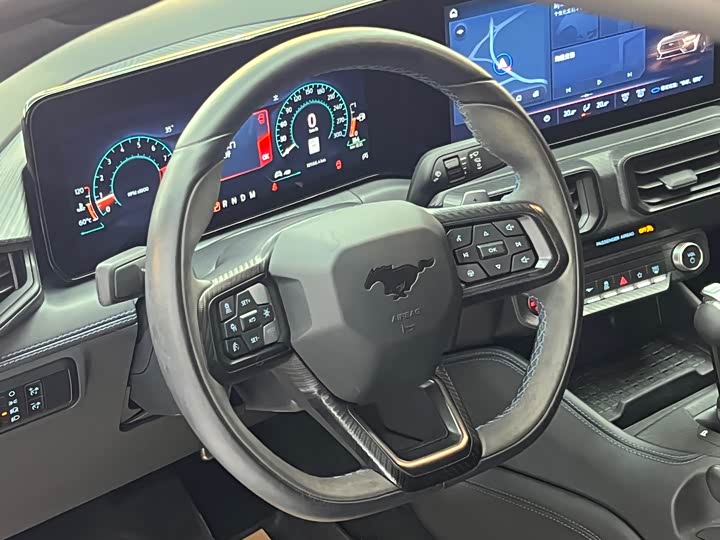 Ford Mustang 2024 2024款 5.0L V8 Dark Horse