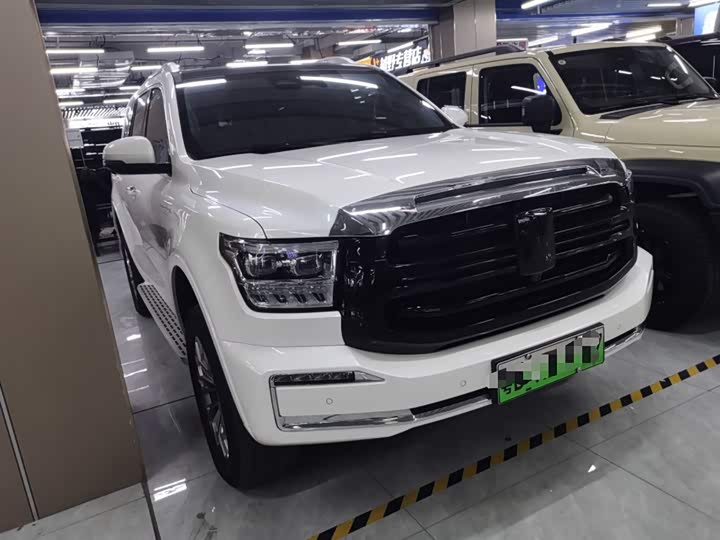 Tank 500 Hybrid 2025 2025款 Hi4-Z