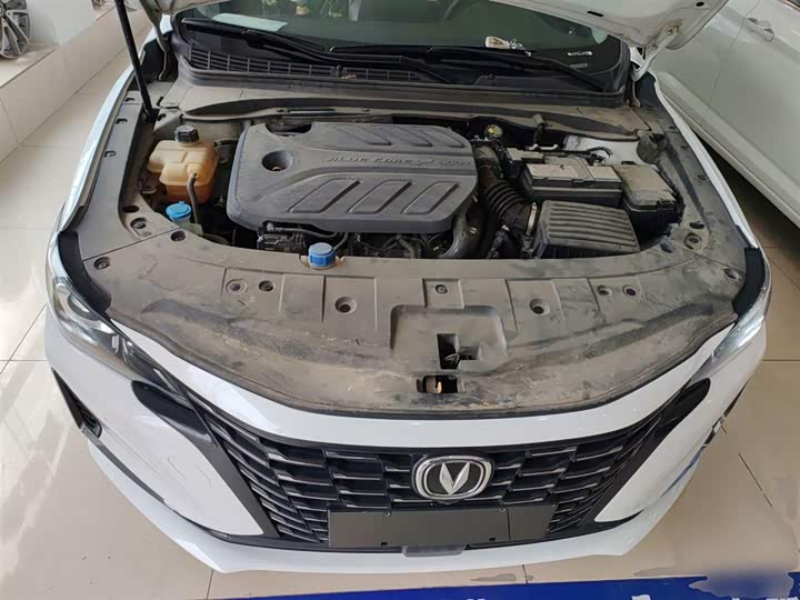 Changan Raeton CC 2022 2022款 蓝鲸版 1.5T DCT豪华型