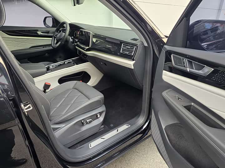 Volkswagen Teramont Pro 2024 2024款 380TSI 四驱尊崇旗舰版