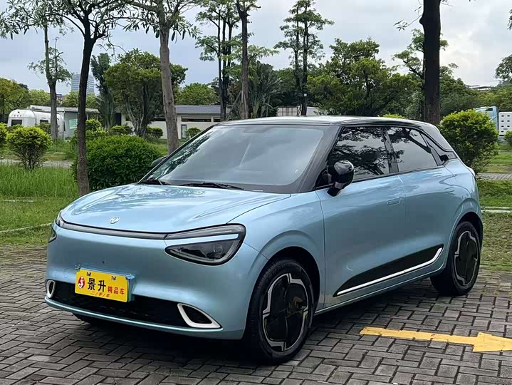 Dongfeng Nammi 01 2024 2024款 330 Plus智+