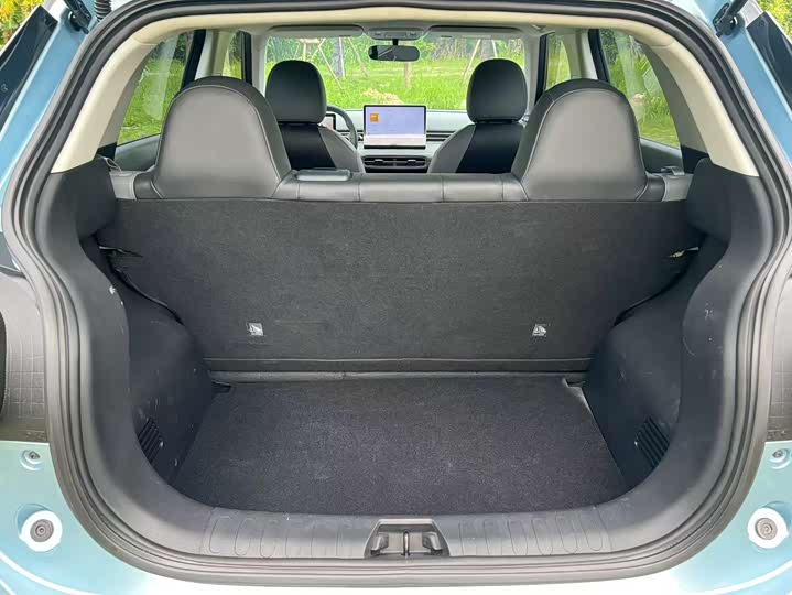 Dongfeng Nammi 01 2024 2024款 330 Plus智+