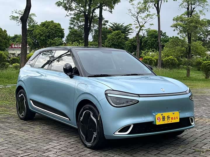 Dongfeng Nammi 01 2024 2024款 330 Plus智+