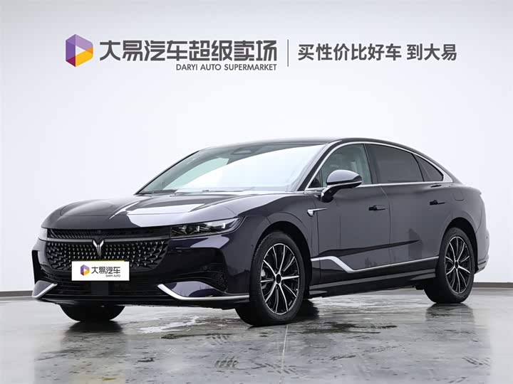 Voyah Passion 2024 2024款 PHEV 四驱超长续航行政版
