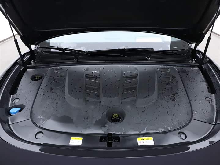 Voyah Passion 2024 2024款 PHEV 四驱超长续航行政版