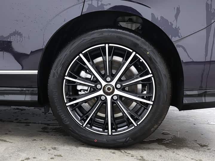 Voyah Passion 2024 2024款 PHEV 四驱超长续航行政版