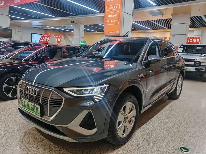 Audi e-tron 2021 2021款 50 quattro 豪华型