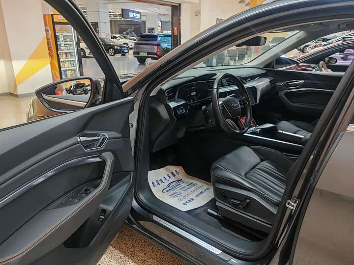 Audi e-tron 2021 2021款 50 quattro 豪华型