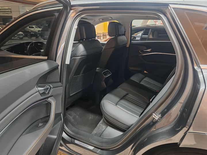 Audi e-tron 2021 2021款 50 quattro 豪华型