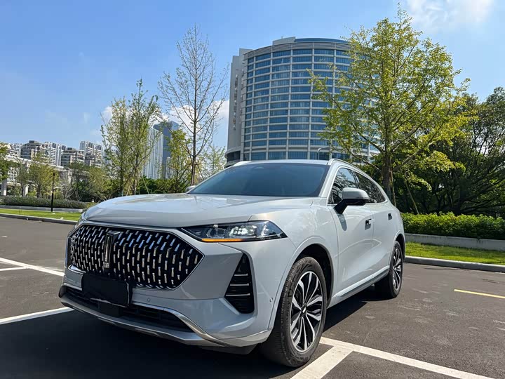 Wey Mocha 2021 2021款 2.0T 四驱特醇版