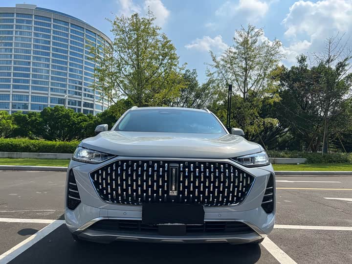 Wey Mocha 2021 2021款 2.0T 四驱特醇版