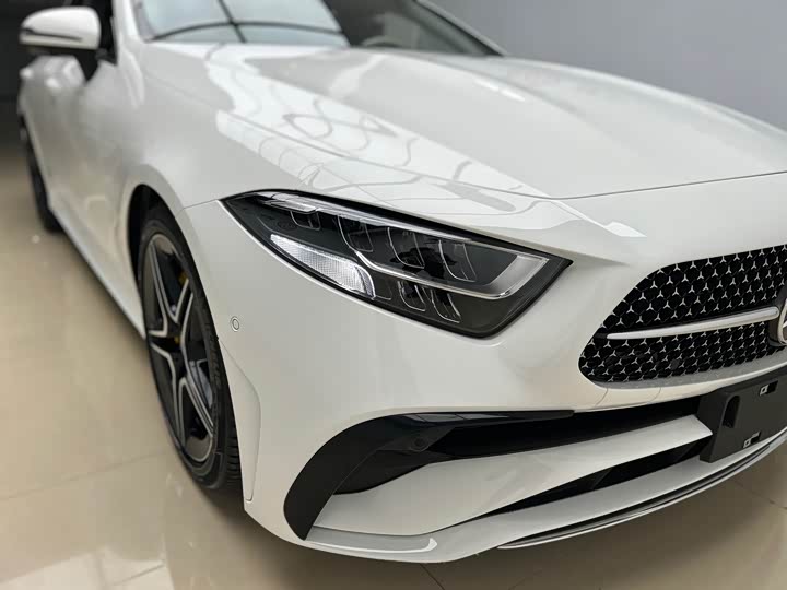 Mercedes-Benz CLS-Class 2023 2023款 改款 CLS 300 动感型