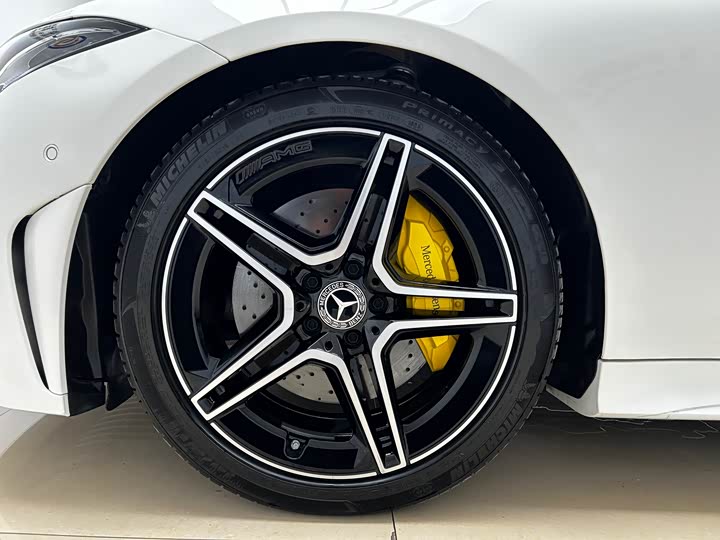 Mercedes-Benz CLS-Class 2023 2023款 改款 CLS 300 动感型