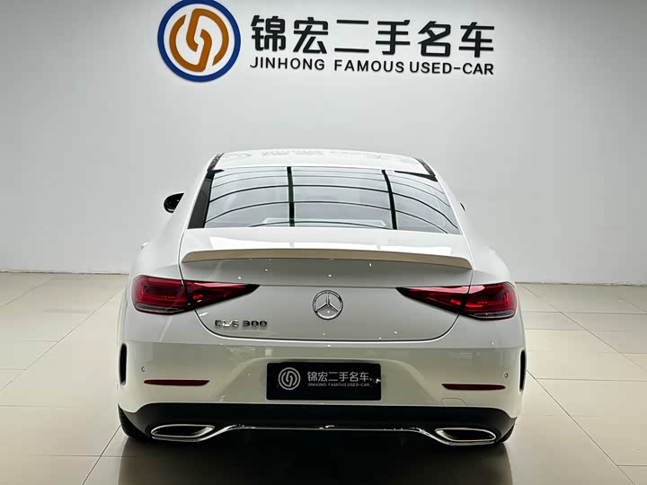 Mercedes-Benz CLS-Class 2023 2023款 改款 CLS 300 动感型
