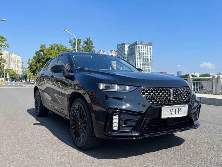 Wey VV7 Hybrid 2020 2020款 PHEV 2.0T 旗舰型