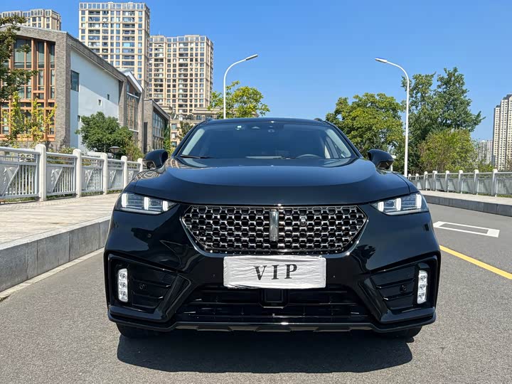 Wey VV7 Hybrid 2020 2020款 PHEV 2.0T 旗舰型