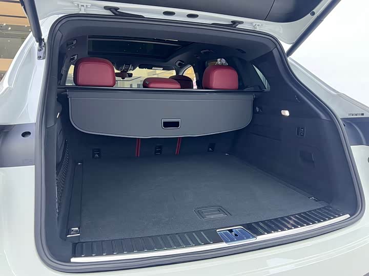 Porsche Cayenne Hybrid 2023 2023款 Cayenne E-Hybrid 2.0T