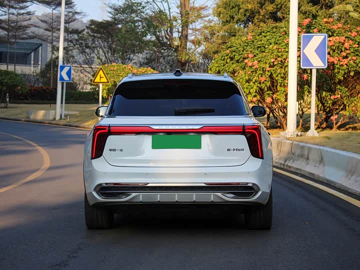 Hongqi E-HS9 2022 2022款 660km 旗畅版 六座