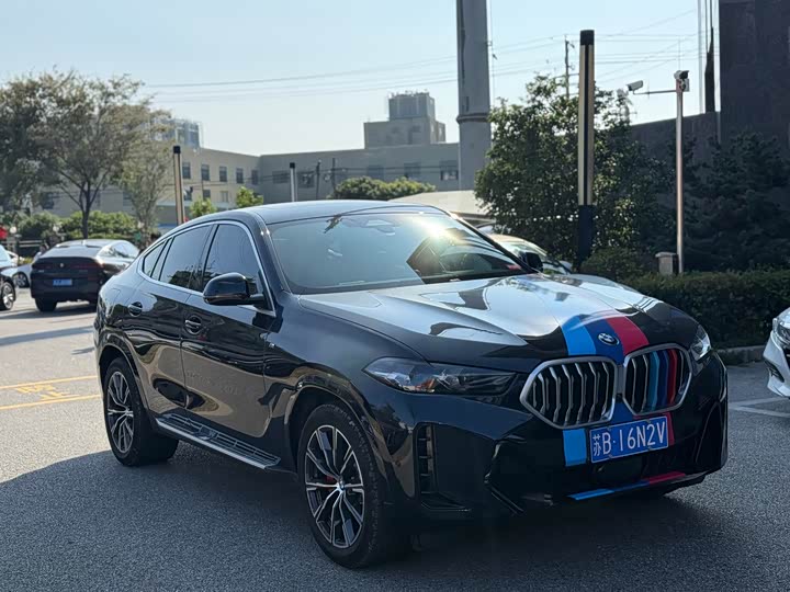2023 BMW X6
