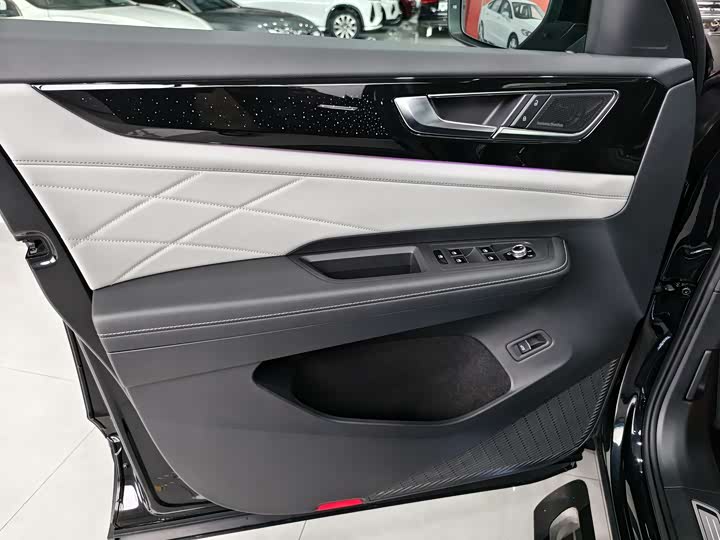 Volkswagen Teramont Pro 2024 2024款 380TSI 四驱尊崇旗舰版