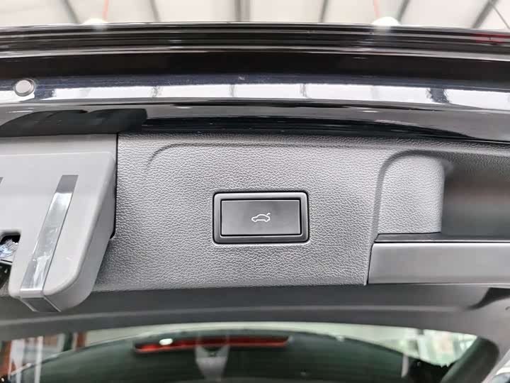 Volkswagen Teramont Pro 2024 2024款 380TSI 四驱尊崇旗舰版