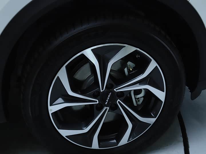 Haval Ruge Max 2023 2023款 1.5L Hi4 105 四驱智能旗舰版