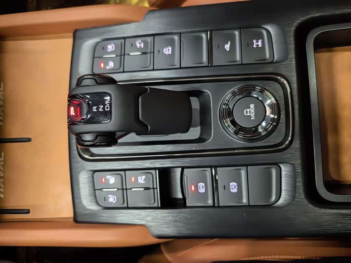 Haval H9 2024 2024款 2.0T 汽油四驱极境版