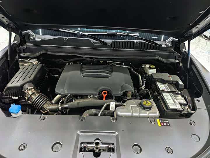 Haval H9 2024 2024款 2.0T 汽油四驱极境版