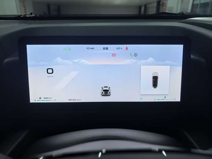 Haval H9 2024 2024款 2.0T 汽油四驱极境版