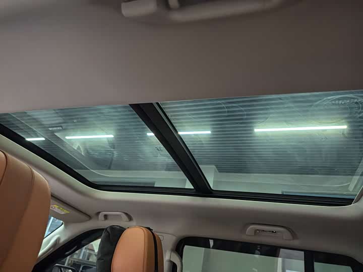 Haval H9 2024 2024款 2.0T 汽油四驱极境版